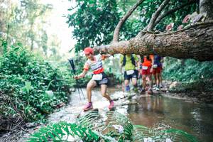 BIB: 
                            <button type="button" onclick="openModal(25459805)" class="btn btn-primary btn-sm float-right btn-popup" data-toggle="modal" data-target=".modal-high-quality">
                        <i class="fas fa-shopping-cart"></i> Add to Cart
                    </button>
                                            <button type="button" onclick="isThisMe(25459805, true)" class="btn btn-success btn-sm float-right btn-popup btn-isme hidden" data-toggle="tooltip" data-placement="bottom" title="นี่คือรูปของคุณใช่ไหม คลิกที่นี่เพื่อเอาเข้าอัลบั้ม">
                        <i class="fas fa-plus"></i> Add to album
                    </button>
                    <button type="button" onclick="isThisMe(25459805, false)" class="btn btn-warning btn-sm float-right btn-popup btn-isnotme hidden">
                        <i class="fas fa-ban"></i> Remove from album
                    </button>